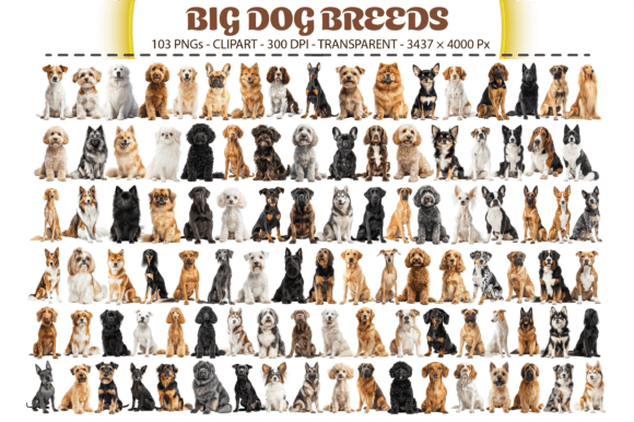 Big Dog Breeds Clipart: A Comprehensive Guide to Using High-Quality Digital Assets for Creative Projects